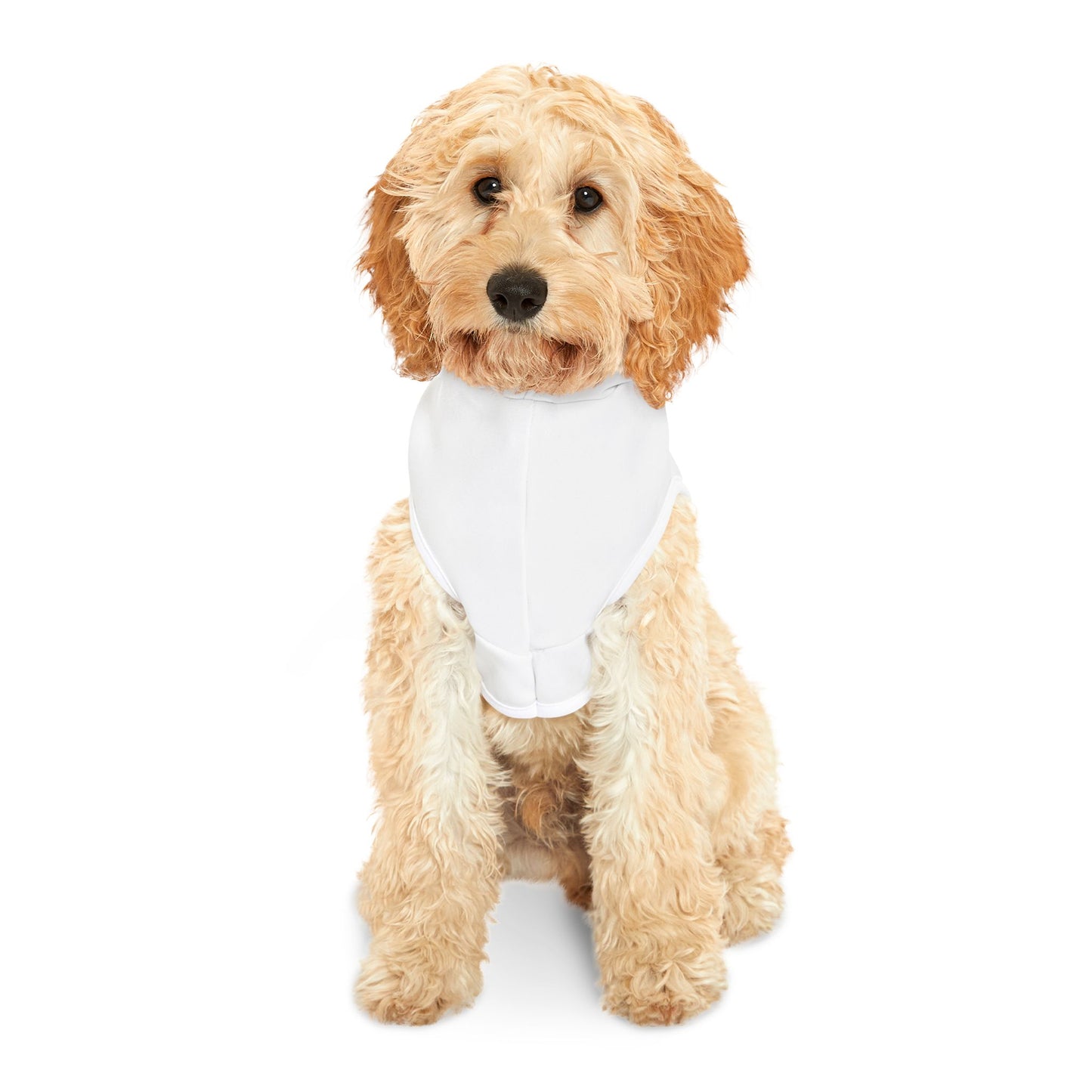 "Need Money For Porsche" Pet Hoodie